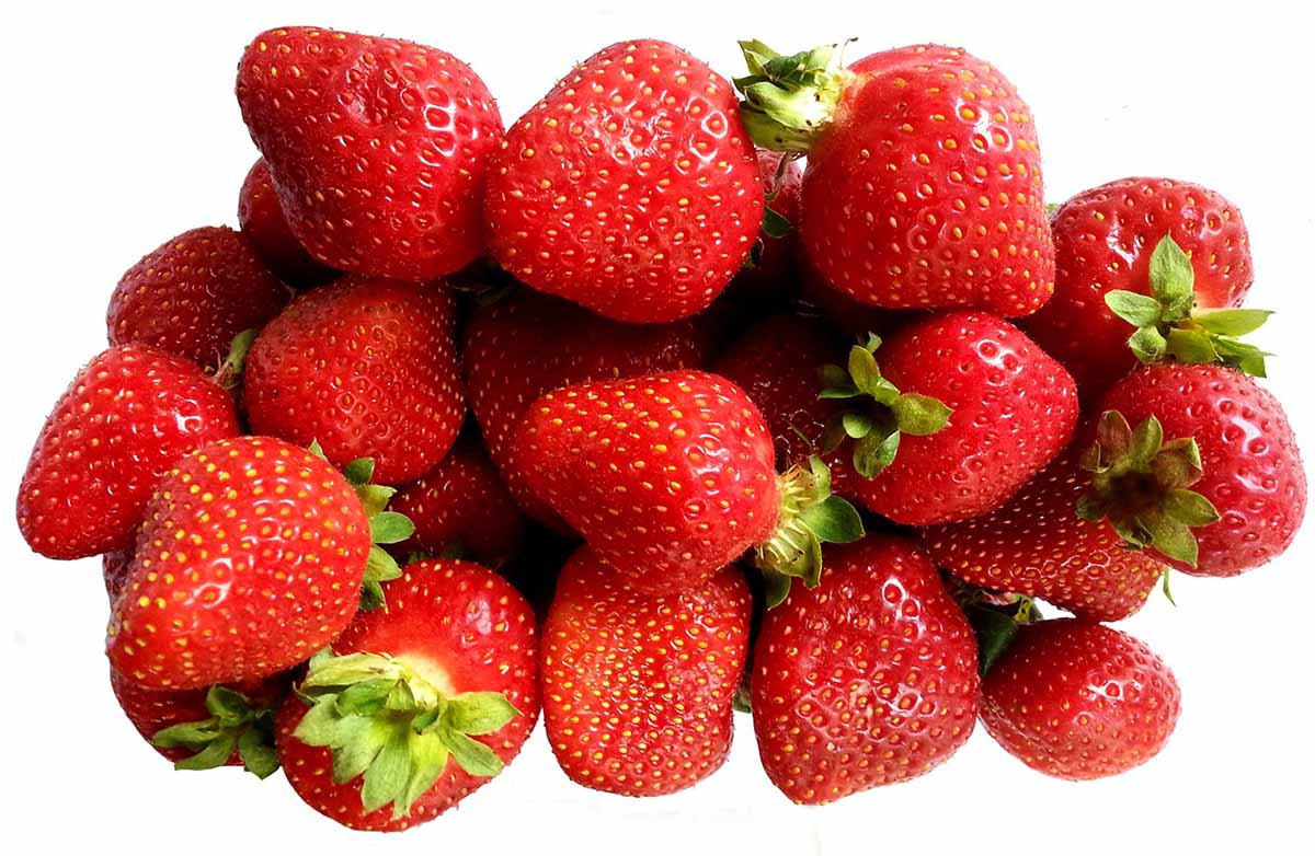 Strawberry Information