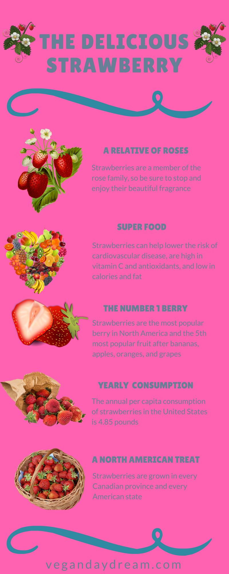 The Delicious Strawberry Information