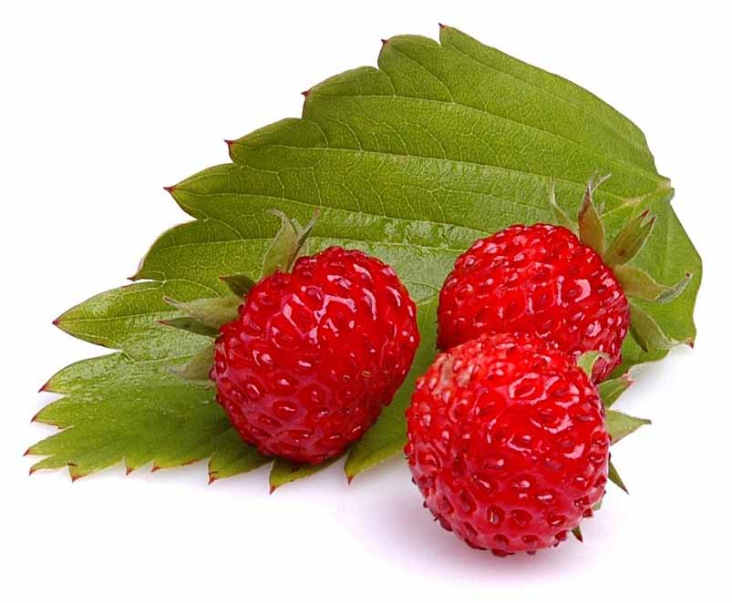 Wild Strawberries Health facts