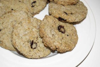 Almond Cranberry Vegan Oatcakes