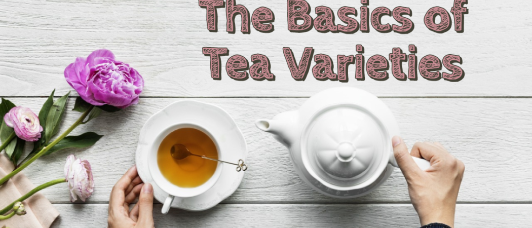 The Basics of Tea Varieties