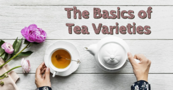 The Basics of Tea Varieties