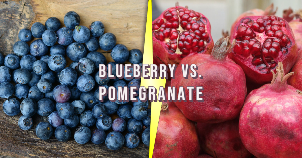 Blueberries vs Pomegranates