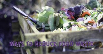 Reduce Food Waste in the Kitchen