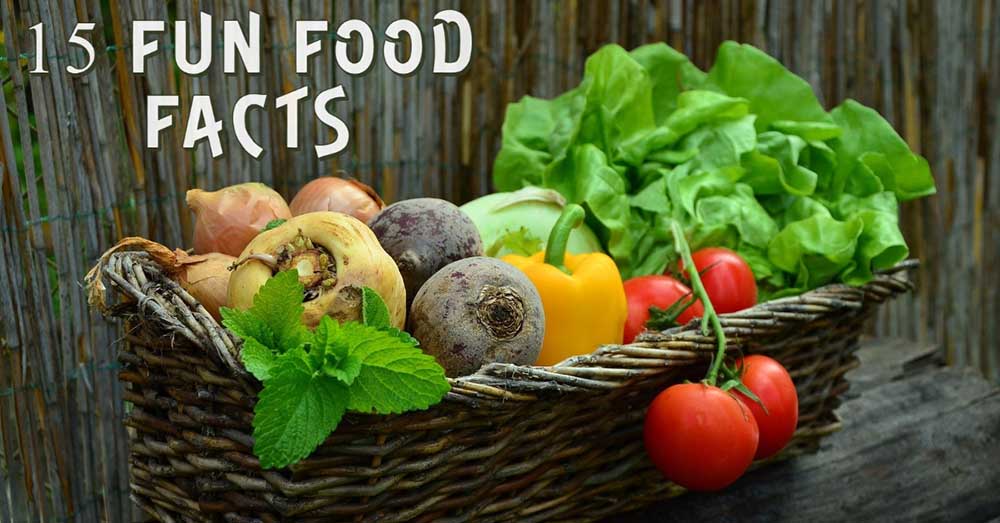 Fun Facts About Food